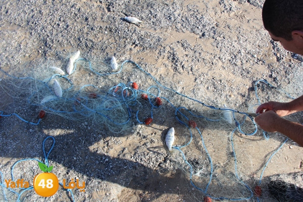 re7la roben 930 (6).JPG